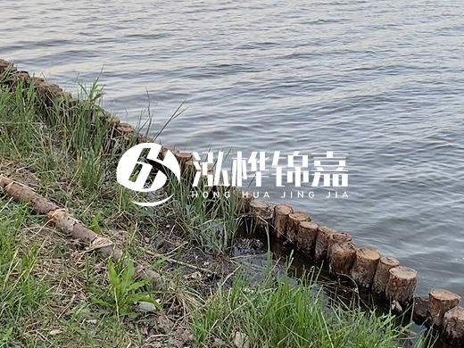 防洪松木樁施工重要性？河道打木樁的位置怎么確定？