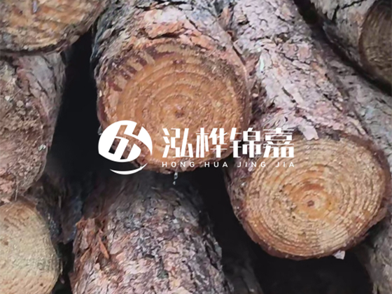 松木樁廠家泓樺錦嘉-松木樁廠家的聯(lián)系方式是什么？