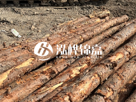 松木樁廠家泓樺錦嘉-原木松木樁的材質(zhì)是落葉松還是濕地松好？