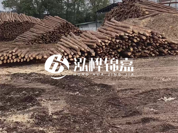 松木樁施工隊泓樺錦嘉-河道駁岸樁選擇松木還是水泥材質(zhì)更合適？