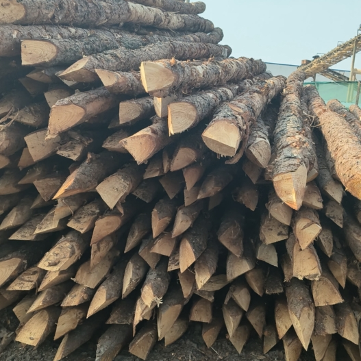 松木樁施工隊泓樺錦嘉 - 河道改造用什么規(guī)格的打樁木？