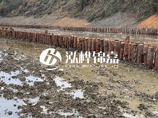 松木樁施工隊泓樺錦嘉 - 河道打松木樁施工流程？