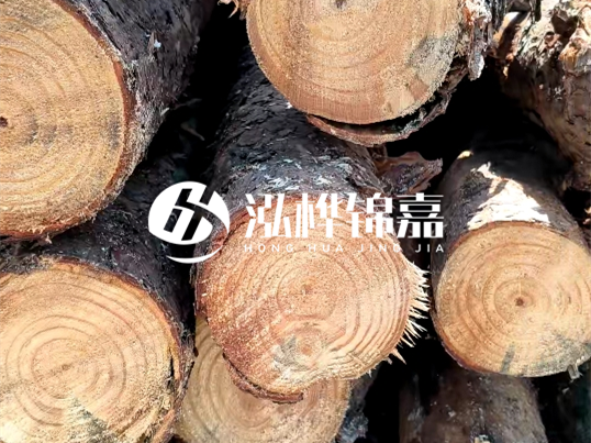 松木樁施工隊泓樺錦嘉 - 松木樁怎么檢測好壞？