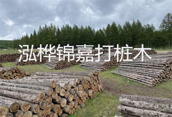 預制松木樁施工工藝：優(yōu)質材料，高效快速，堅固耐用