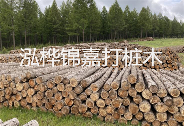 松木樁能施工嗎？探究視頻揭秘真相！