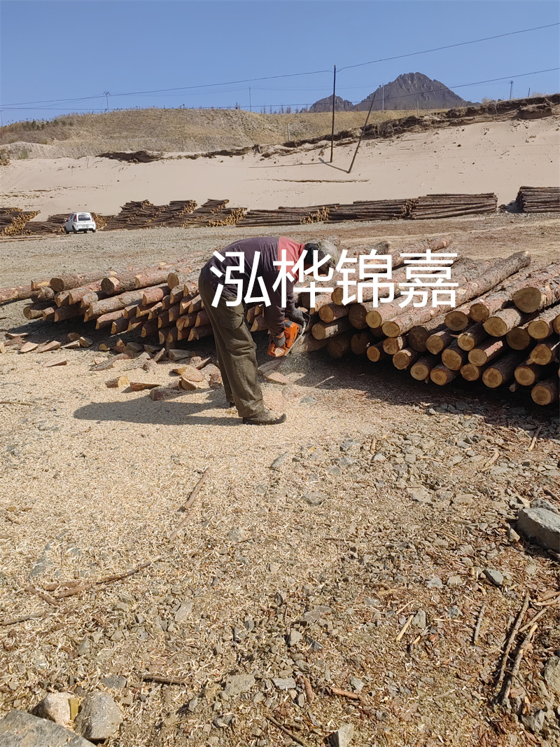 河道杉木樁施工工藝——保護(hù)生態(tài)，筑就長(zhǎng)遠(yuǎn)發(fā)展之基