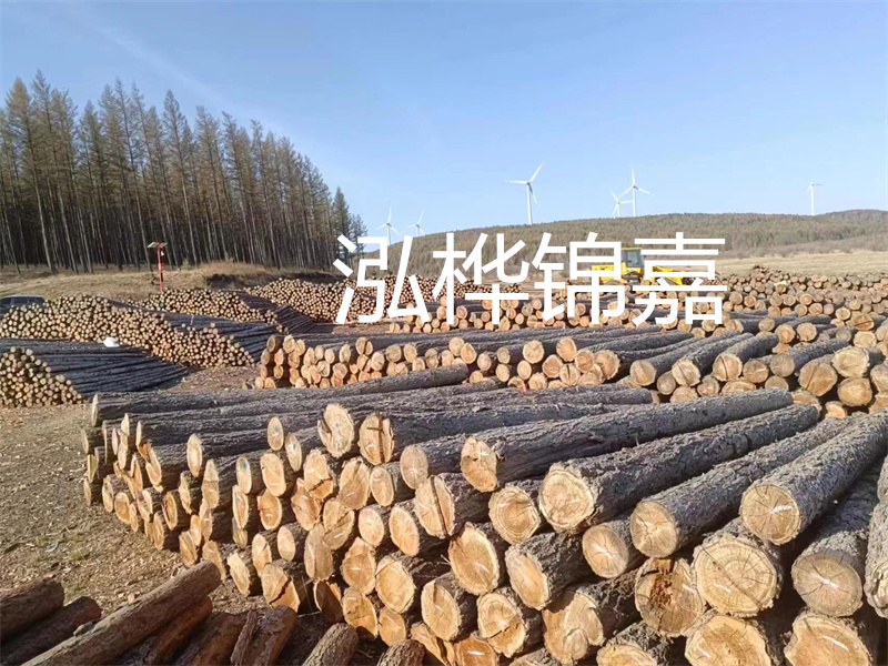 用路基松木樁施工方案提升工程質量描述：了解路基松木樁施工方案的重要性，提高工程質量關鍵詞：路基松木樁，施工方案，工程質量