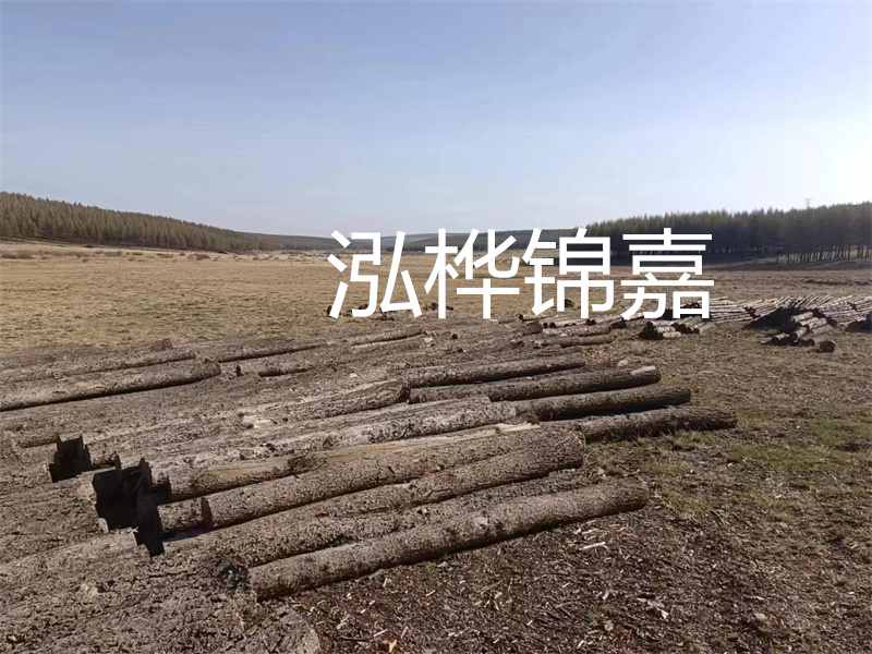 鄂州松木樁哪里好？推薦泓樺錦嘉松木樁業(yè)！