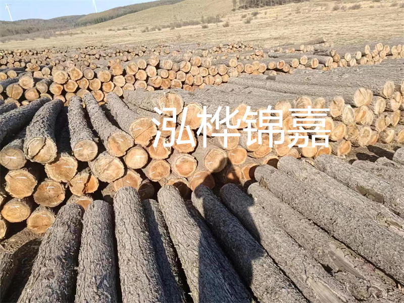 松木樁在哪里買？這里是最佳選擇！